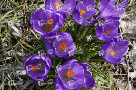 Frühling in Berlin