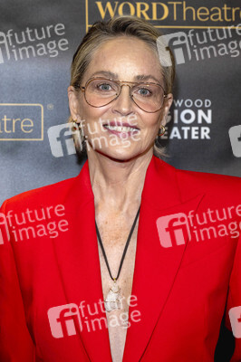 WordTheate-Präsentation 'An All-Star Celebrity and Literary Salute to Our Vets' in Los Angeles