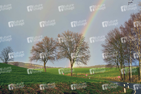 Symbolfoto Regenbogen