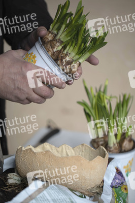 Symbolfoto Eintopfen von Blumen