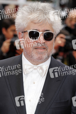 Filmpremiere 'Ich sehe den Mann deiner Träume', Cannes Film Festival 2010