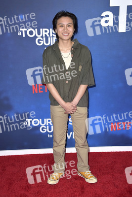Filmpremiere 'A Tourist's Guide to Love' in Los Angeles