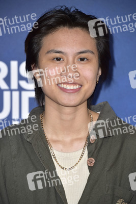 Filmpremiere 'A Tourist's Guide to Love' in Los Angeles