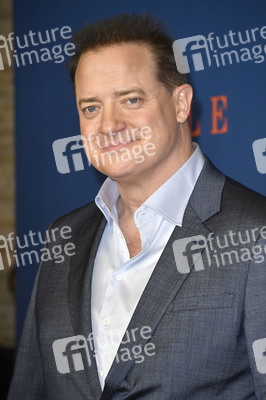 Filmpremiere 'The Whale' in Berlin