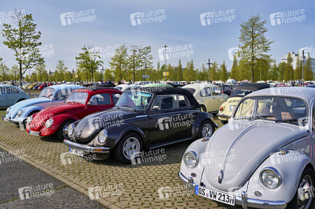 MaiKäferTreffen in Hannover