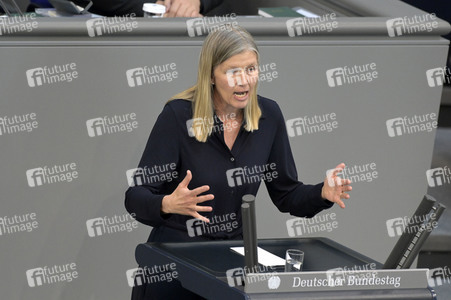 103. Sitzung des Deutschen Bundestages in Berlin