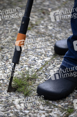 Symbolfoto Unkraut entfernen