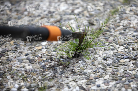 Symbolfoto Unkraut entfernen