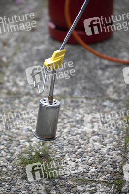 Symbolfoto Unkraut entfernen