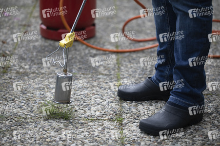 Symbolfoto Unkraut entfernen