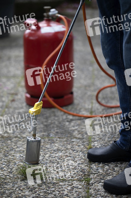 Symbolfoto Unkraut entfernen