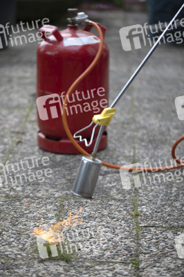 Symbolfoto Unkraut entfernen