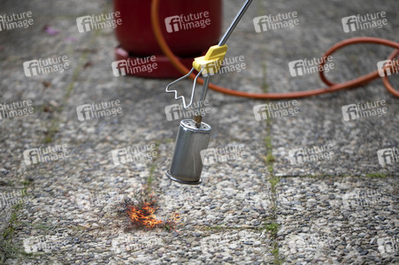 Symbolfoto Unkraut entfernen