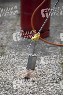 Symbolfoto Unkraut entfernen