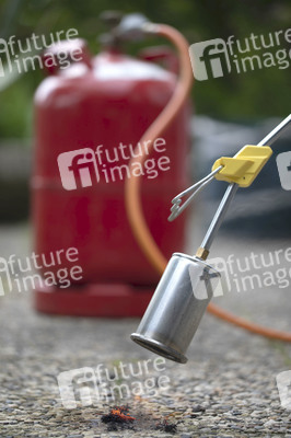 Symbolfoto Unkraut entfernen