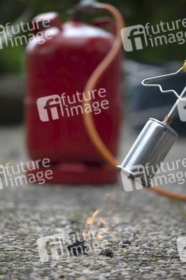 Symbolfoto Unkraut entfernen