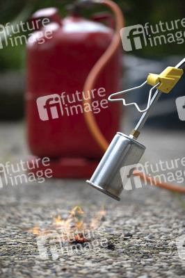 Symbolfoto Unkraut entfernen