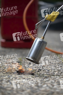 Symbolfoto Unkraut entfernen