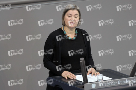 106. Sitzung des Deutschen Bundestages in Berlin
