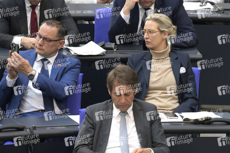 106. Sitzung des Deutschen Bundestages in Berlin
