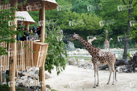 Eröffnung der Afrikanischen Savannenlandschaft im Tierpark Berlin