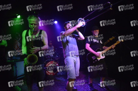 Konzert von The Toasters in Hannover