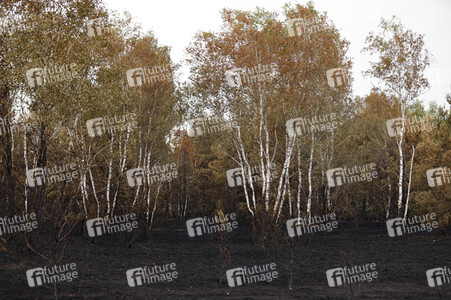 Waldbrand in Jüterbog