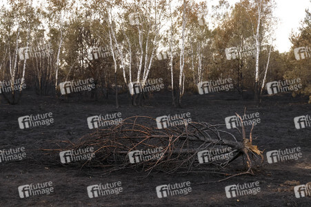 Waldbrand in Jüterbog