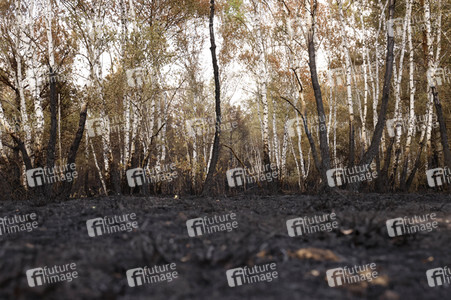 Waldbrand in Jüterbog