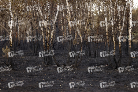 Waldbrand in Jüterbog