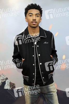 Filmpremiere 'The Flash' in Los Angeles