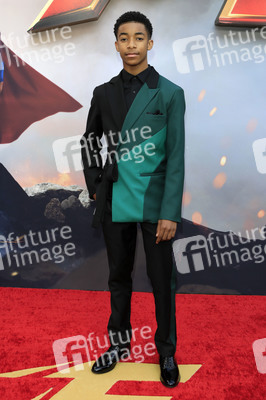 Filmpremiere 'The Flash' in Los Angeles