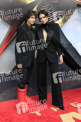Filmpremiere 'The Flash' in Los Angeles