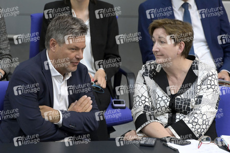 111. Sitzung des Deutschen Bundestages in Berlin