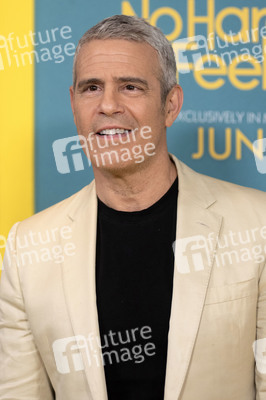Filmpremiere 'No Hard Feelings' in New York