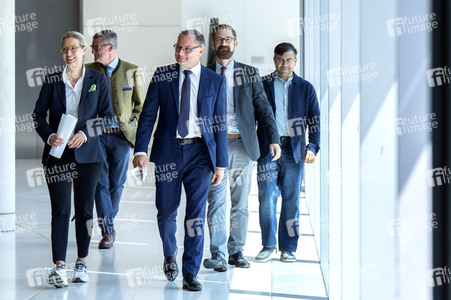 Fraktionssitzung der AfD-Bundestagsfraktion in Berlin