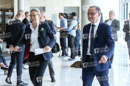 Fraktionssitzung der AfD-Bundestagsfraktion in Berlin