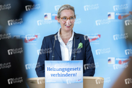 Pressestatement der AfD-Bundestagsfraktion in Berlin