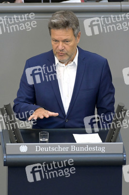 116. Sitzung des Deutschen Bundestages in Berlin