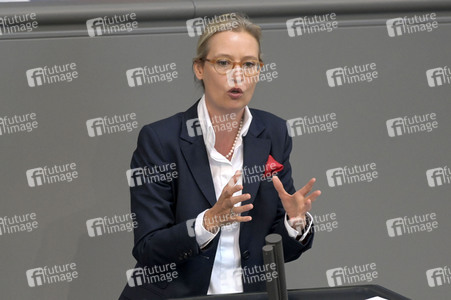 116. Sitzung des Deutschen Bundestages in Berlin