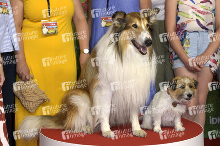 Filmpremiere 'Lassie - Ein neues Abenteuer' in Berlin