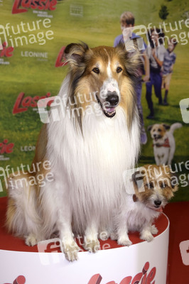 Filmpremiere 'Lassie - Ein neues Abenteuer' in Berlin