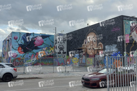 Statdteil Wynwood in Miami