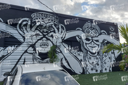 Statdteil Wynwood in Miami