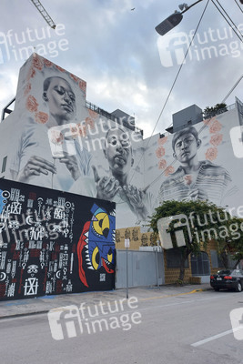 Statdteil Wynwood in Miami
