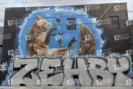Statdteil Wynwood in Miami