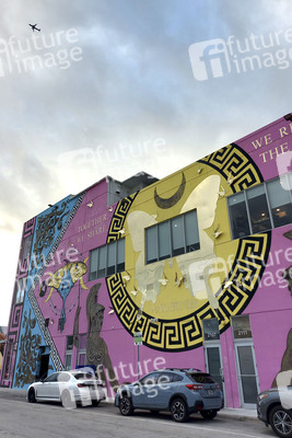 Statdteil Wynwood in Miami