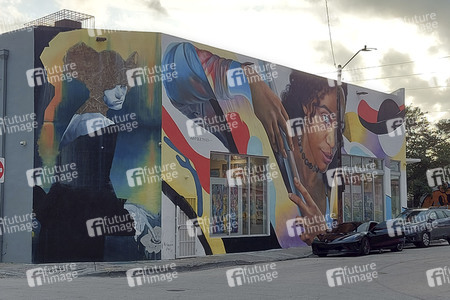 Statdteil Wynwood in Miami