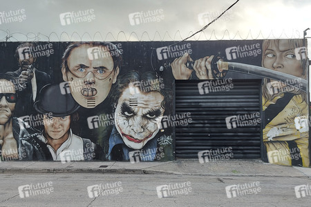 Statdteil Wynwood in Miami