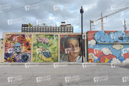Statdteil Wynwood in Miami